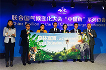 IGEA��WWF���ڰ����������ڼ����Ϸ���ɭ�����ԡ�