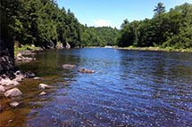 ���ڽ���򾲺��ص�61������ȷ��Ϊ����ѭ������ʾ�����У��أ�