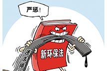 �������֯��������ڻ���������������