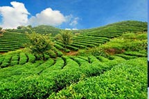 ����˹ר�ң�������̬��Ŀ�����Ͽ�ѧϰ�й�