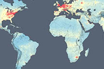 ���ȫ�������Ⱦ NASA�����׸߿չ�����Ľ���