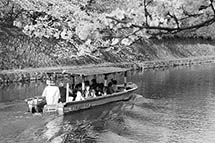 �ձ����ú�30����������