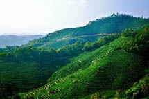 ��Ȼ��Դ�ʲ����뱱���쵼������� ����������4����