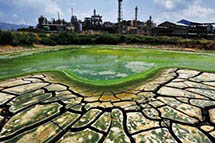 ������Ⱦ���Σ�Ҫ�롰ҩ�������� ���跴�����鷽��