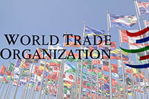 ������ԱҲ������ �����й����г����õ�λ