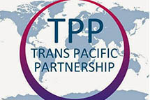 ��ý������׼TPPǰ;���� ǰ��Ƿ�����ձ�����