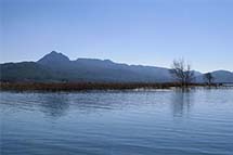 ��һ�֡������籩����Ļ �й�������������ȫ��չ��