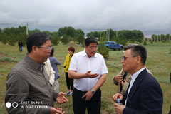 IGEA�����ױ�����չ����ԭɳ����������ɫ���ڡ�ר�����