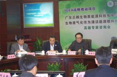 IGEA10�¾����������ܲ�ҵ�����뷢չר�����