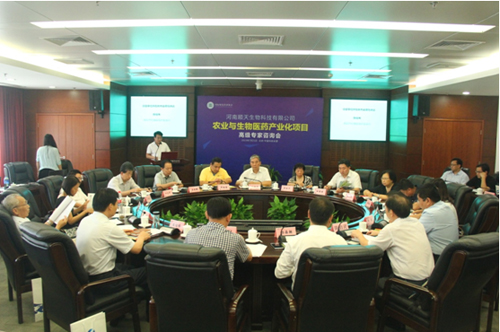 �߶��ǻ���ײ������˳�������ҵ����չ֮·