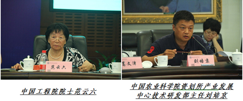 �߶��ǻ���ײ������˳�������ҵ����չ֮·