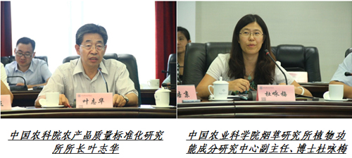 �߶��ǻ���ײ������˳�������ҵ����չ֮·