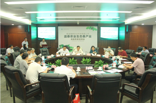 IGEA���̻᣺�����߲��ǻۣ�����ɣҵδ��