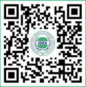 �����г�����36365��·������ļ��