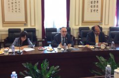 IGEA�����а;������ȡ������ʺ����ص��ƹ���Ŀר���ж�