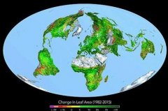 ������̼����ɡ����ϡ� �����ø���