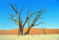 2015�껷����ҵ:ҵ���ֻ� ǿ�ߺ�ǿ