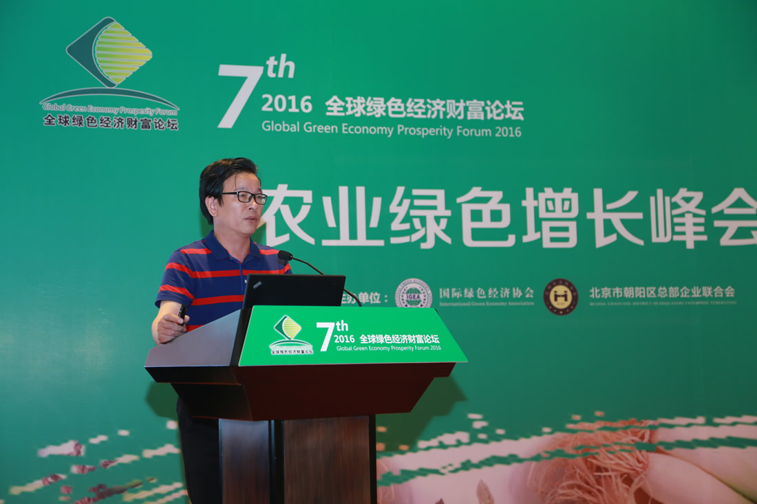 IGEA�й�����ĵ����ҵ������������³�������ʢ��ĵ������Ƽ����޹�˾���³� ������