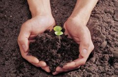 �����ء��¼�Ƶ�� ��������ս��ʱ����