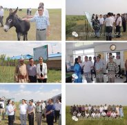 36365��·���������֯�����Ÿ����ɹź��ױ����п������ũ��ҵ��