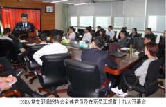 IGEA��֧����֯ȫԱ�ۿ�ʮ�Ŵ�Ļ��ֱ��